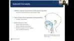 Cleft Palate Speech Therapy: Treatment and Outcomes